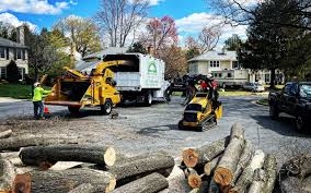 Reliable Hobart, WA Tree Removal and Landscaping Services Solutions